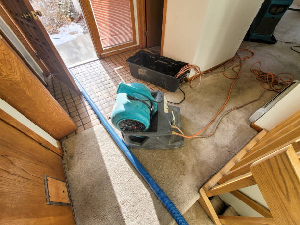 Best 24/7 water damage repair  in Ocean City, NJ
