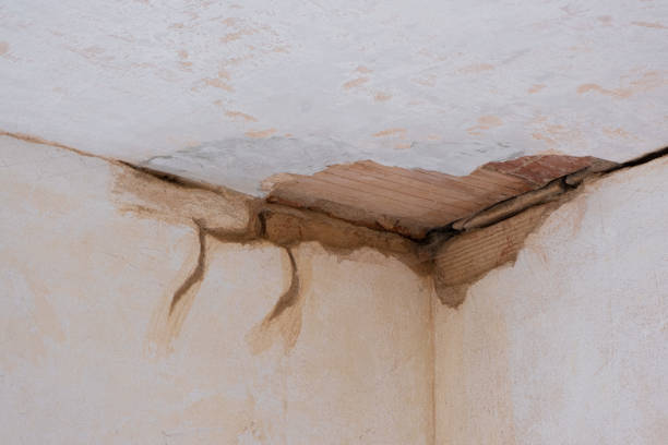 Best Basement water damage restoration  in Ocean City, NJ