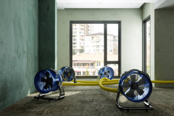 Best Professional water damage repair  in Ocean City, NJ